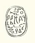 carabée au nom de Mery-ouser-Rê 